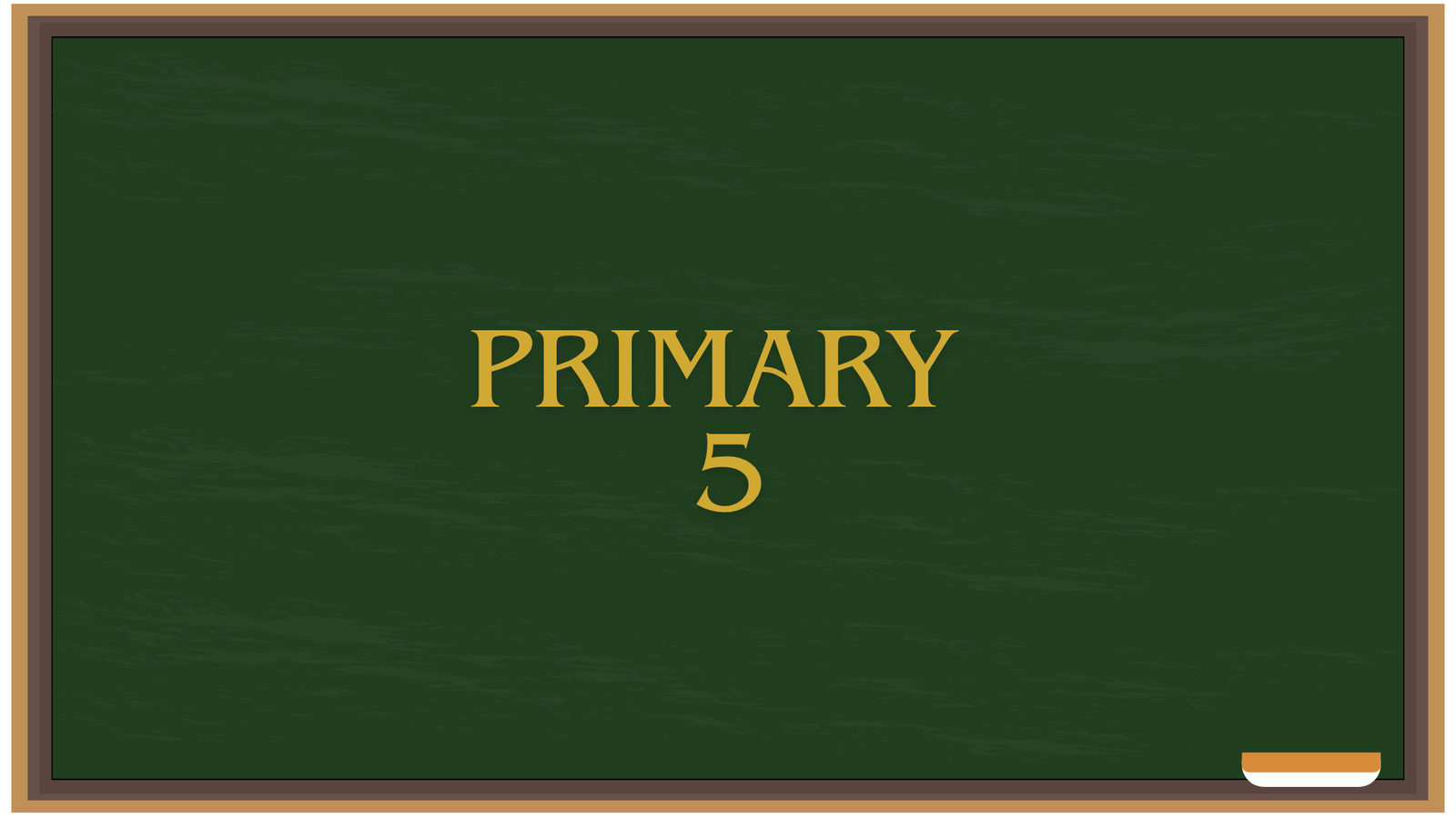 Primary 5